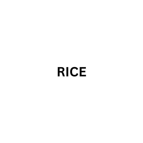 Rice